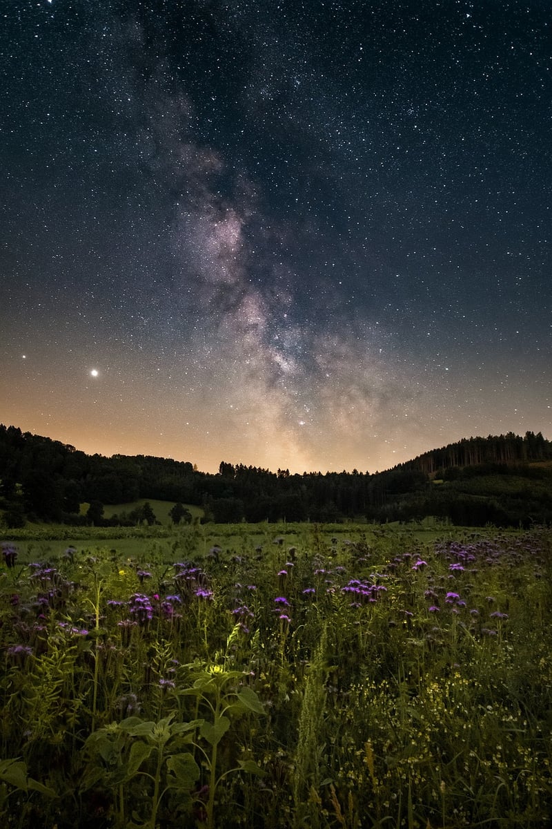 Galactic Habitability